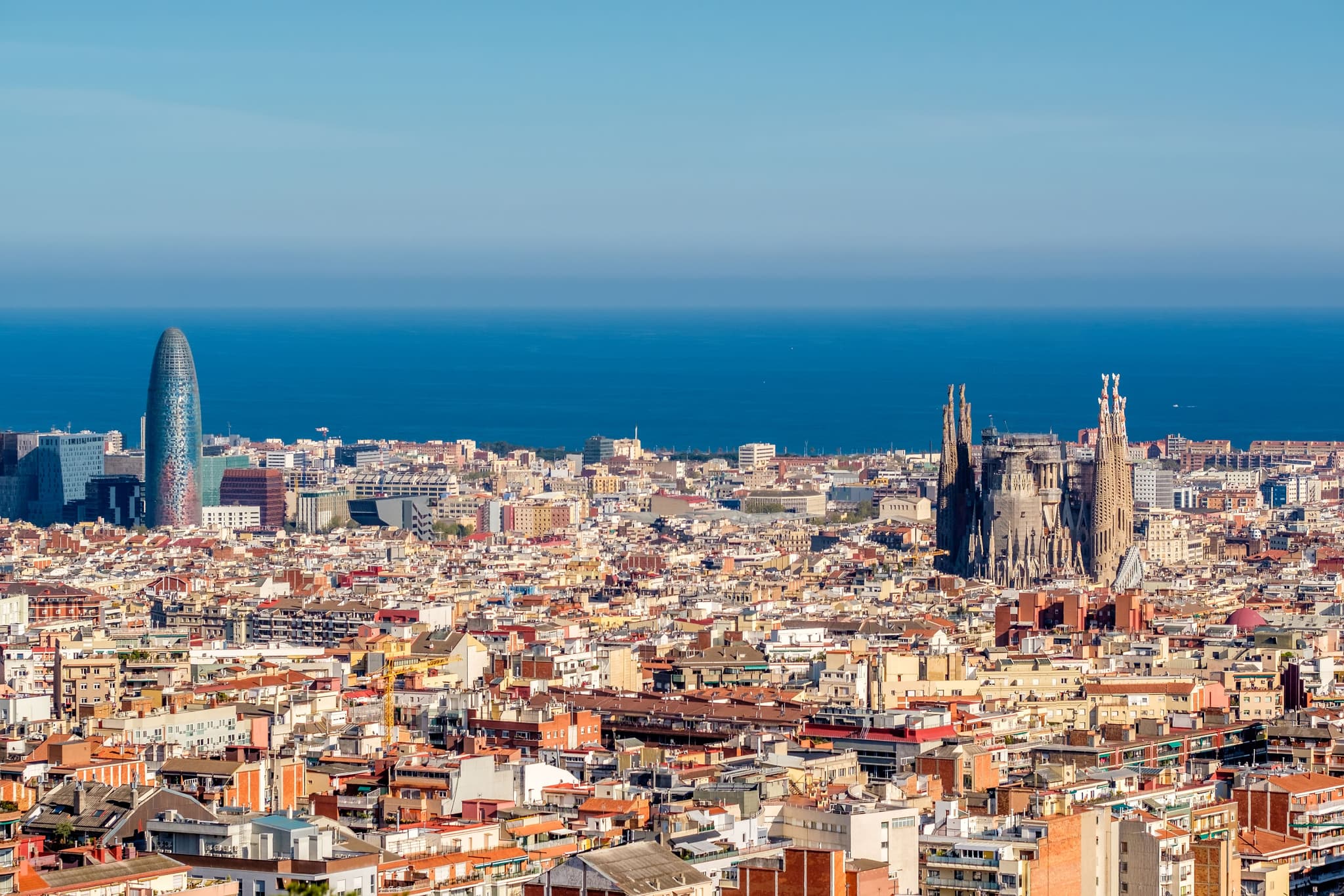 Campus de Verano 2026 – IRG, Latinoamérica y España