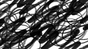 <garabatos-blanco-y-negro>