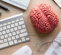 Experto-Europeo-en-Neuroeducacion